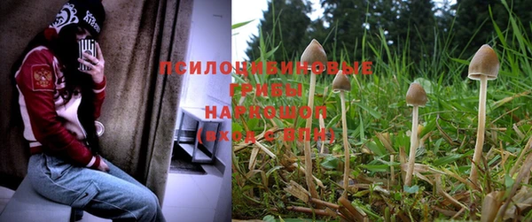 бошки Каменногорск